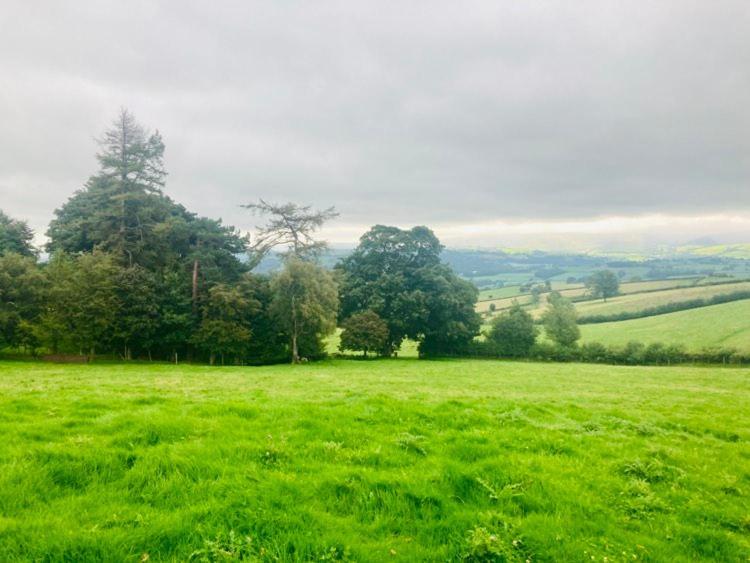 Luxury Stargazing Glamping - Seren Hardd With Hot Tub * Llanidloes